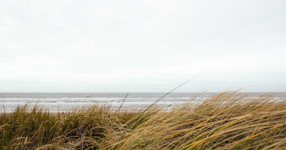 Pensione minima 2026: importo aggiornato e requisiti